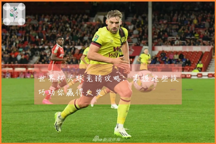 世界杯买球竞猜攻略：掌握这些技巧助你赢得大奖