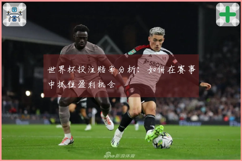 世界杯投注赔率分析：如何在赛事中抓住盈利机会