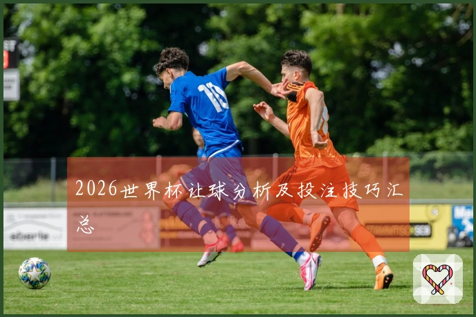 2026世界杯让球分析及投注技巧汇总