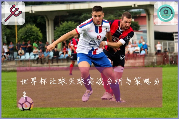 世界杯让球买球实战分析与策略分享