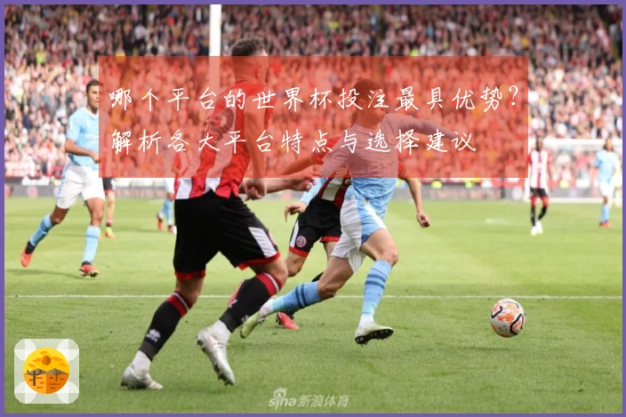 哪个平台的世界杯投注最具优势？解析各大平台特点与选择建议