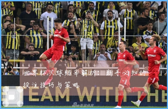 世界杯买球赔率解析：新手必知的投注技巧与策略