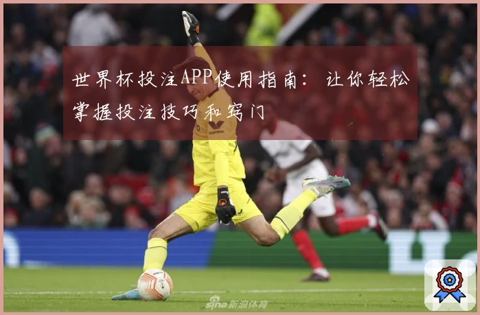 世界杯投注APP使用指南：让你轻松掌握投注技巧和窍门