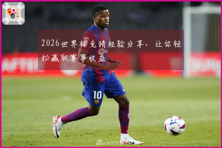 2026世界杯竞猜经验分享，让你轻松赢取赛事收益