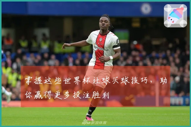 掌握这些世界杯让球买球技巧，助你赢得更多投注胜利