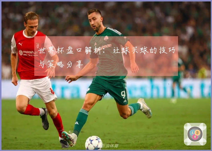 世界杯盘口解析：让球买球的技巧与策略分享