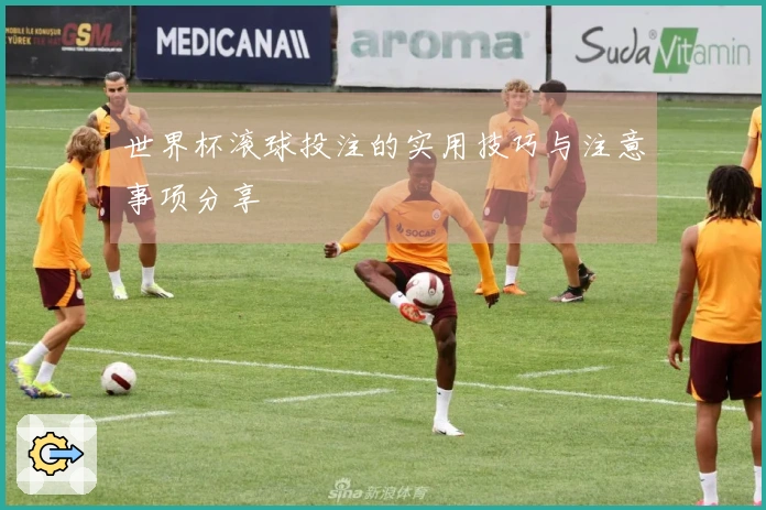 世界杯滚球投注的实用技巧与注意事项分享