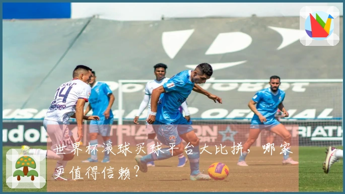 世界杯滚球买球平台大比拼，哪家更值得信赖？