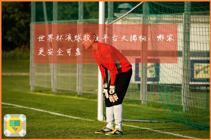 世界杯滚球投注平台大揭秘，哪家更安全可靠